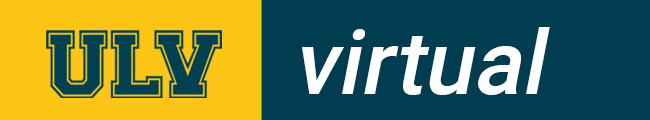 ­Aula Virtual DEV